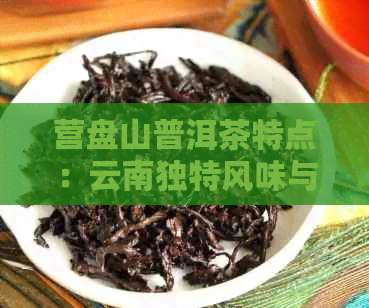 营盘山普洱茶特点：云南独特风味与制作工艺详解