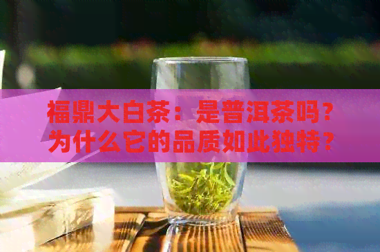 福鼎大白茶：是普洱茶吗？为什么它的品质如此独特？