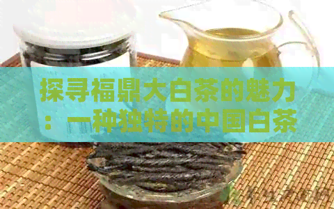 探寻福鼎大白茶的魅力：一种独特的中国白茶品种