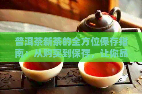 普洱茶新茶的全方位保存指南：从购买到保存，让你品尝口感！