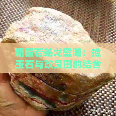 新疆若羌戈壁滩：捡玉石与改良田的结合，青花玉的独特魅力