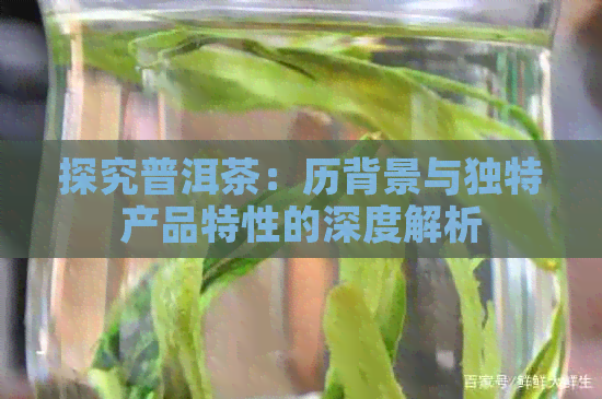 探究普洱茶：历背景与独特产品特性的深度解析