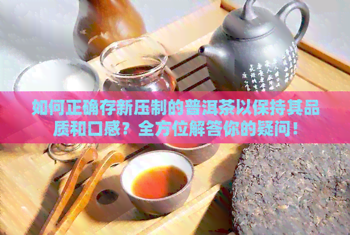 如何正确存新压制的普洱茶以保持其品质和口感？全方位解答你的疑问！