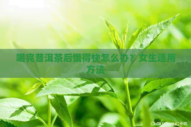 喝完普洱茶后饿得快怎么办？女生适用方法