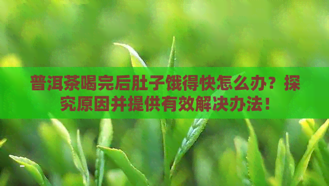 普洱茶喝完后肚子饿得快怎么办？探究原因并提供有效解决办法！