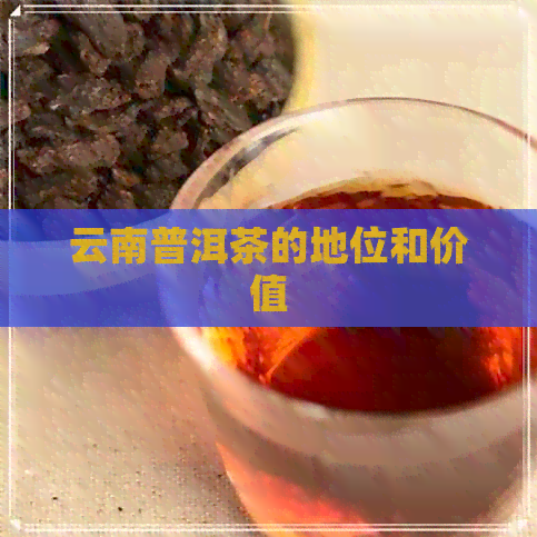 云南普洱茶的地位和价值