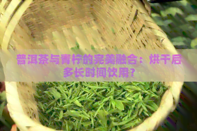 普洱茶与青柠的完美融合：烘干后多长时间饮用？