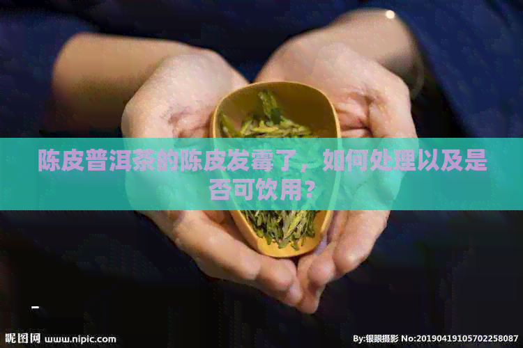 陈皮普洱茶的陈皮发霉了，如何处理以及是否可饮用？