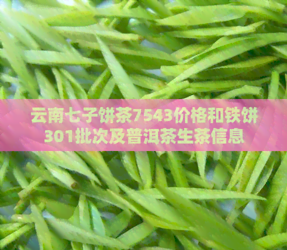 云南七子饼茶7543价格和铁饼301批次及普洱茶生茶信息