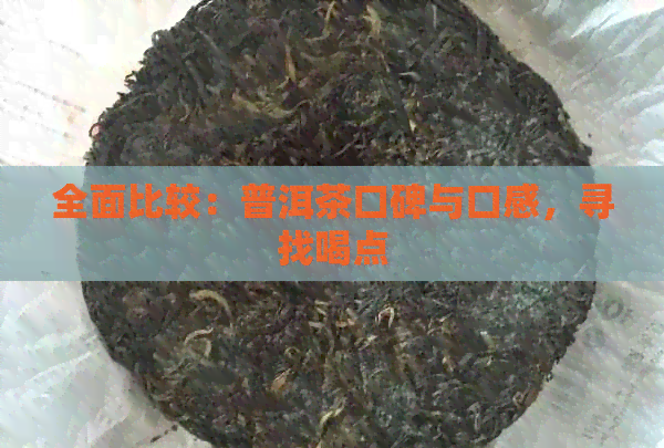 全面比较：普洱茶口碑与口感，寻找喝点