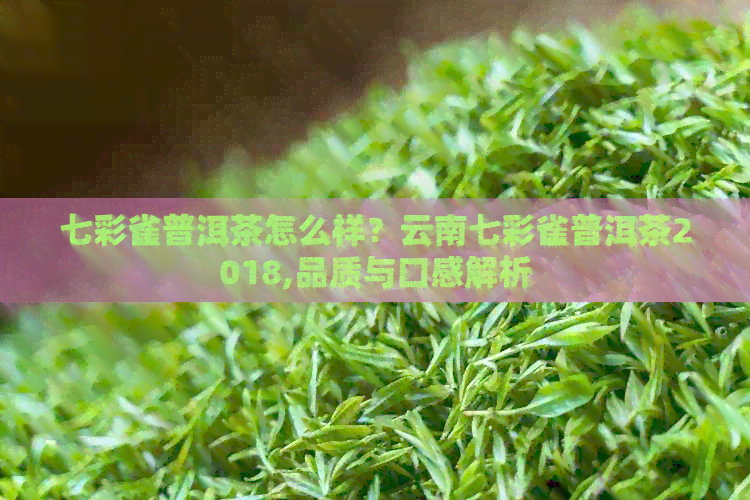 七彩雀普洱茶怎么样？云南七彩雀普洱茶2018,品质与口感解析