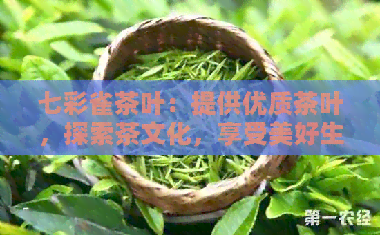 七彩雀茶叶：提供优质茶叶，探索茶文化，享受美好生活