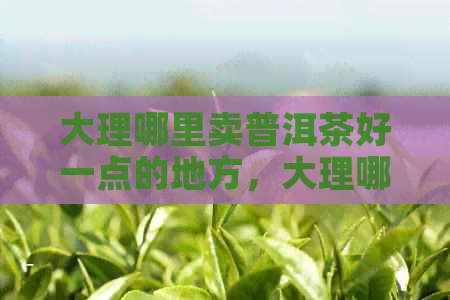 大理哪里卖普洱茶好一点的地方，大理哪里买普洱茶比较好，大理普洱茶专卖店