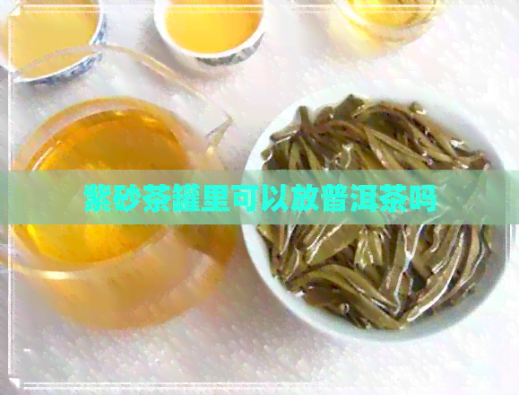 紫砂茶罐里可以放普洱茶吗