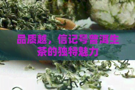 品质越，信记号普洱生茶的独特魅力