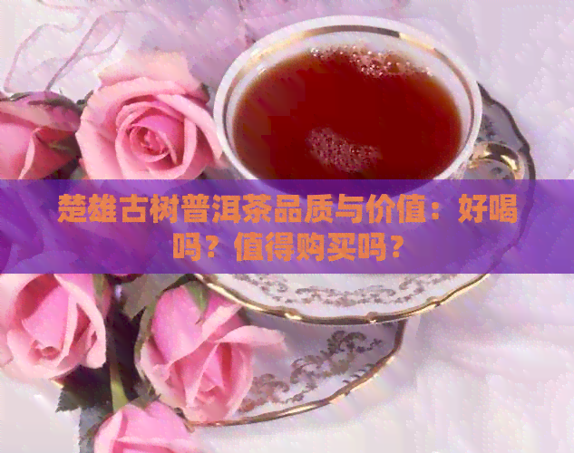 楚雄古树普洱茶品质与价值：好喝吗？值得购买吗？