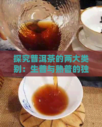 探究普洱茶的两大类别：生普与熟普的独特魅力与区别