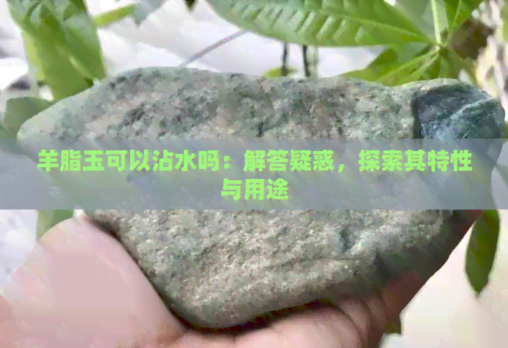 羊脂玉可以沾水吗：解答疑惑，探索其特性与用途