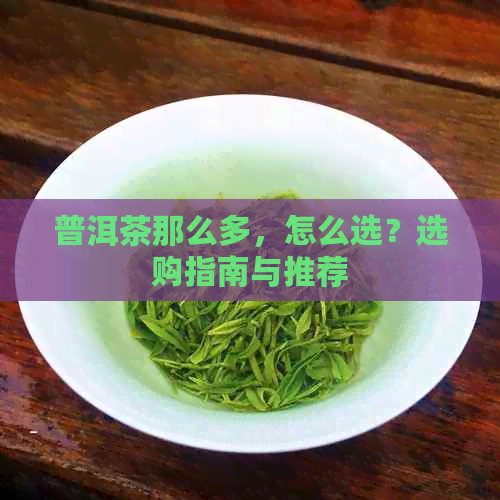 普洱茶那么多，怎么选？选购指南与推荐