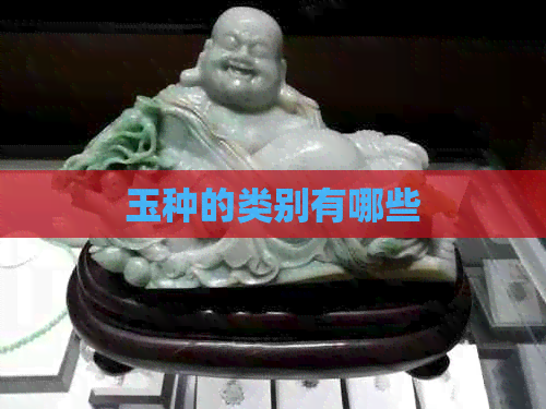 玉种的类别有哪些