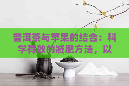 普洱茶与苹果的结合：科学有效的减肥方法，以及如何正确煮制和食用它们