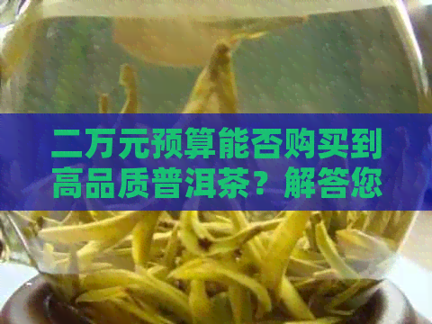 二万元预算能否购买到高品质普洱茶？解答您关于普洱茶购买的全部疑问