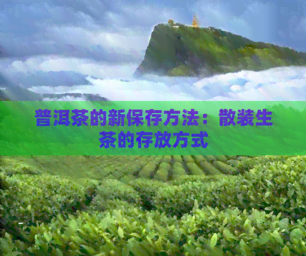 普洱茶的新保存方法：散装生茶的存放方式