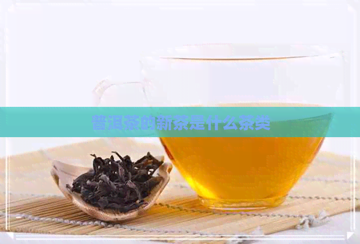 普洱茶的新茶是什么茶类