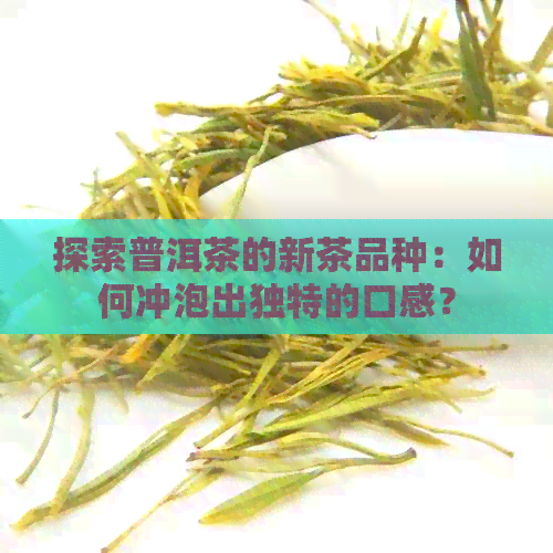 探索普洱茶的新茶品种：如何冲泡出独特的口感？