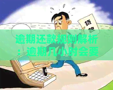 逾期还款规则解析：逾期几小时会要求全额还款？利息如何计算？