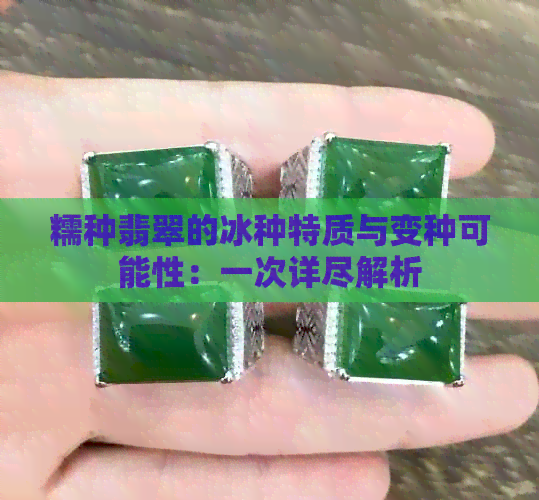 糯种翡翠的冰种特质与变种可能性：一次详尽解析