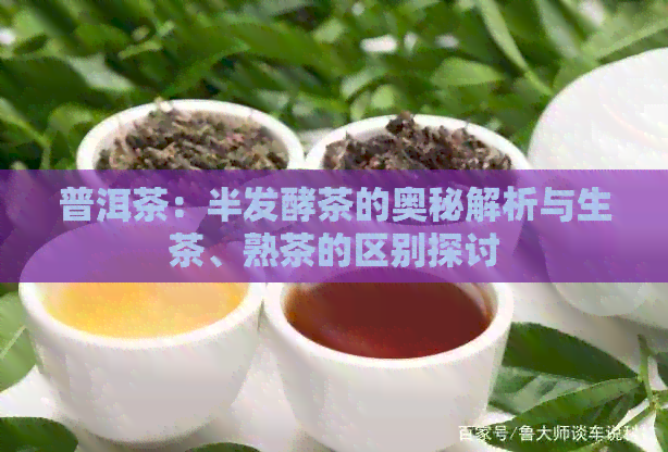 普洱茶：半发酵茶的奥秘解析与生茶、熟茶的区别探讨