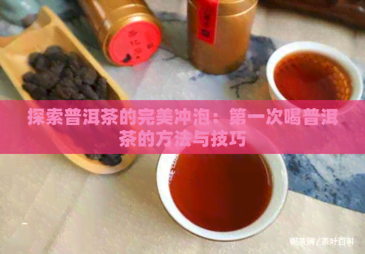 探索普洱茶的完美冲泡：之一次喝普洱茶的方法与技巧