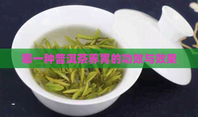 哪一种普洱茶养胃的功效与效果