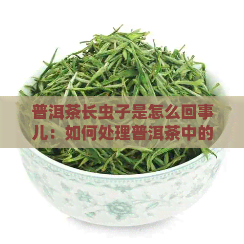 普洱茶长虫子是怎么回事儿：如何处理普洱茶中的虫子问题？