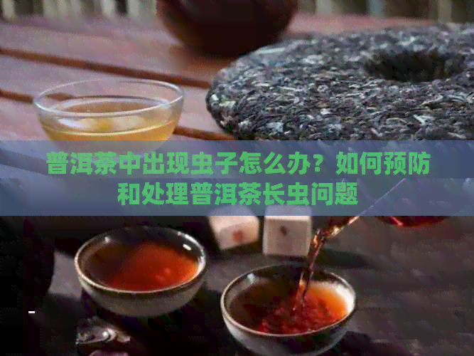 普洱茶中出现虫子怎么办？如何预防和处理普洱茶长虫问题