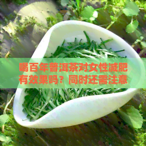 喝百年普洱茶对女性减肥有效果吗？同时还需注意什么因素？