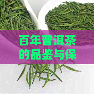 百年普洱茶的品鉴与保存：是否可行？如何确保品质不受影响？