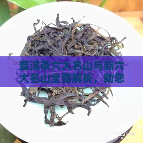 普洱茶六大名山与新六大名山全面解析，助您深入了解普洱茶的产地与品质