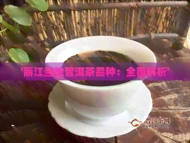 '丽江当地普洱茶品种：全面解析'