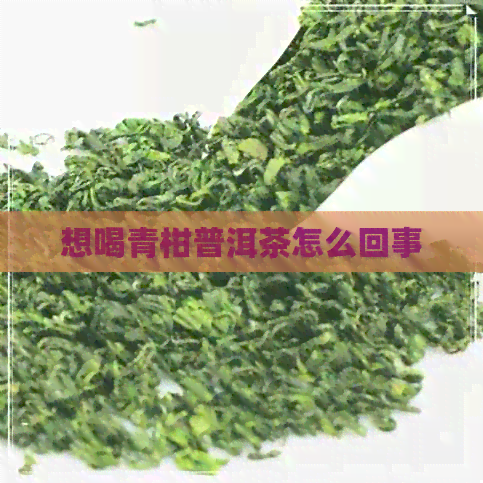 想喝青柑普洱茶怎么回事