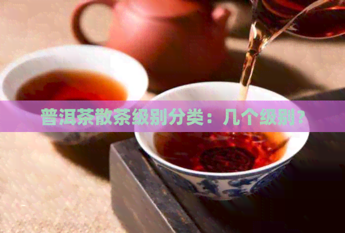 普洱茶散茶级别分类：几个级别？