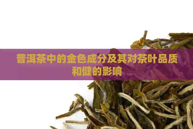 普洱茶中的金色成分及其对茶叶品质和健的影响