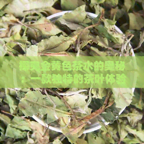 探究金黄色茶水的奥秘：一款独特的茶叶体验