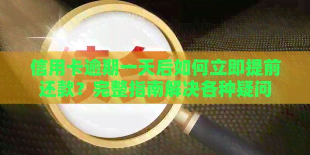 信用卡逾期一天后如何立即提前还款？完整指南解决各种疑问