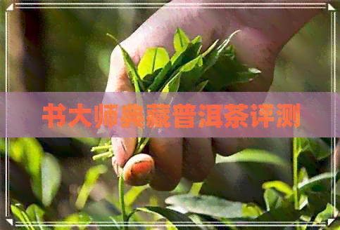 书大师典藏普洱茶评测