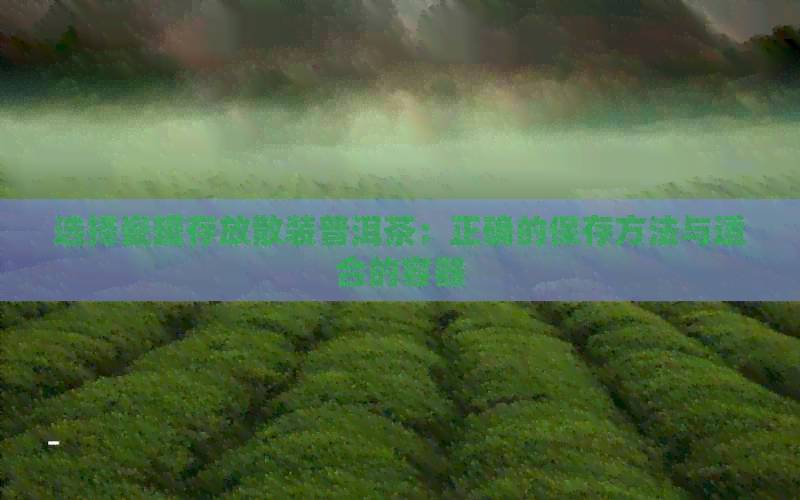 选择瓷罐存放散装普洱茶：正确的保存方法与适合的容器