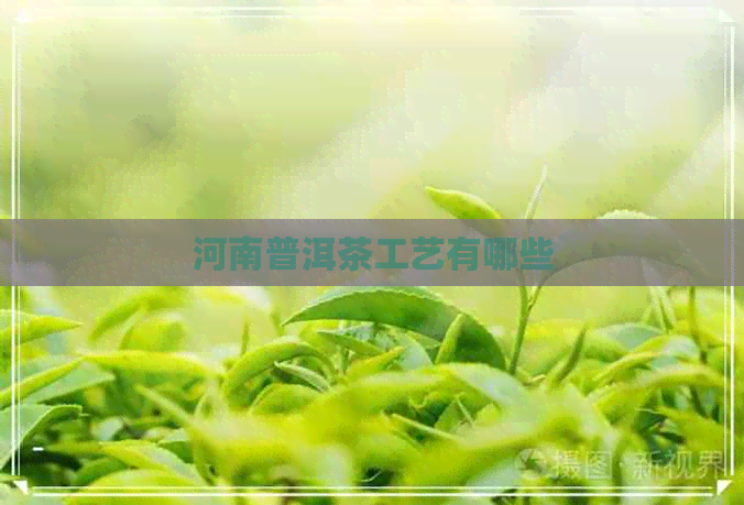 河南普洱茶工艺有哪些