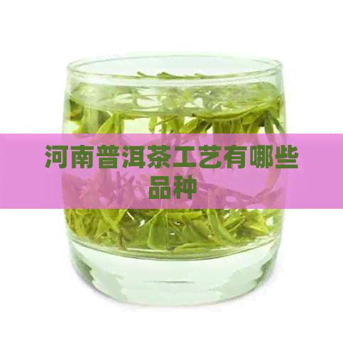 河南普洱茶工艺有哪些品种