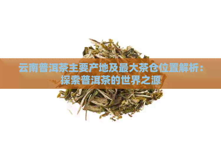 云南普洱茶主要产地及更大茶仓位置解析：探索普洱茶的世界之源